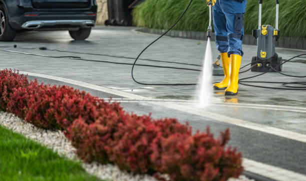 Best Building Exterior Washing  in Fairport, NY